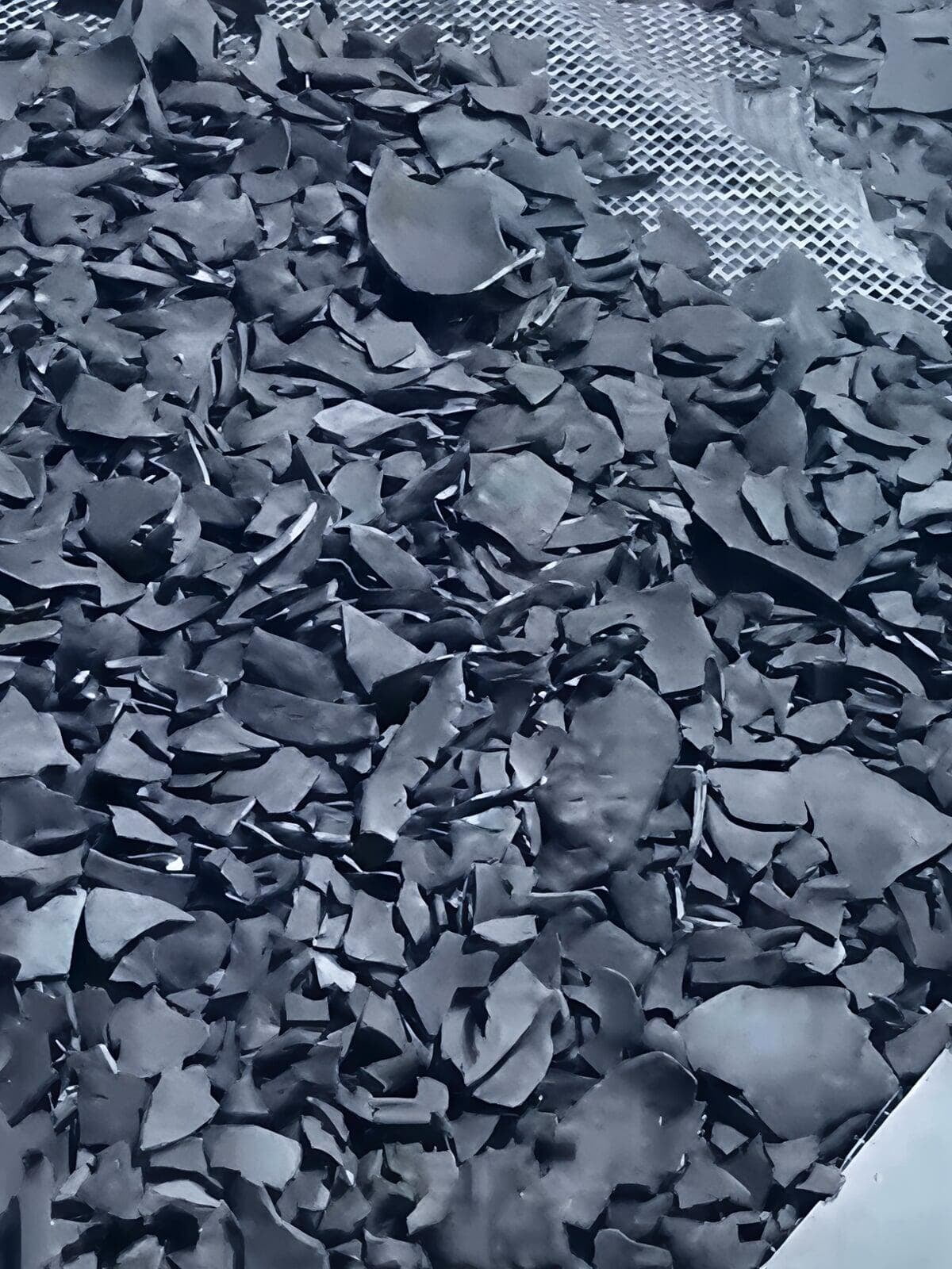 Seaweed Chips